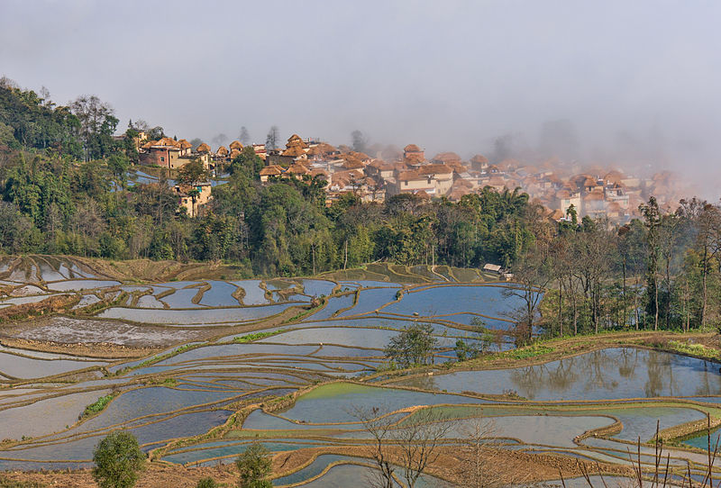 Illustration for article titled This Gorgeous Stained Glass Landscape Is Actually a Rice Field
